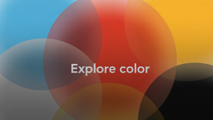 explore-the-perfect-color